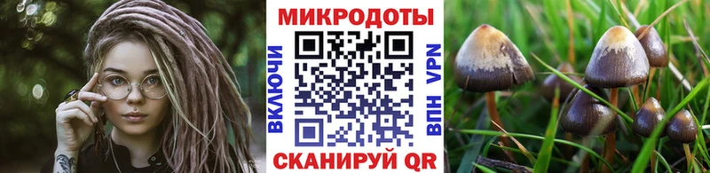 даркнет состав  Александровск  Псилоцибиновые грибы MAGIC MUSHROOMS 